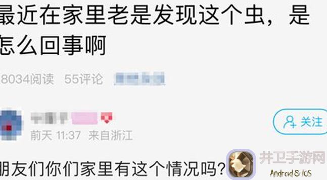 揭秘！活下去蟑螂出品：摆脱刷噪音困扰，轻松消除噪音的实用方法！怎么选？