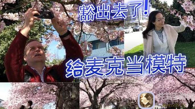 速懂入门樱花盛开的梦Cherry Blossom Dream,Lanota氪金族如何轻松虐通关?